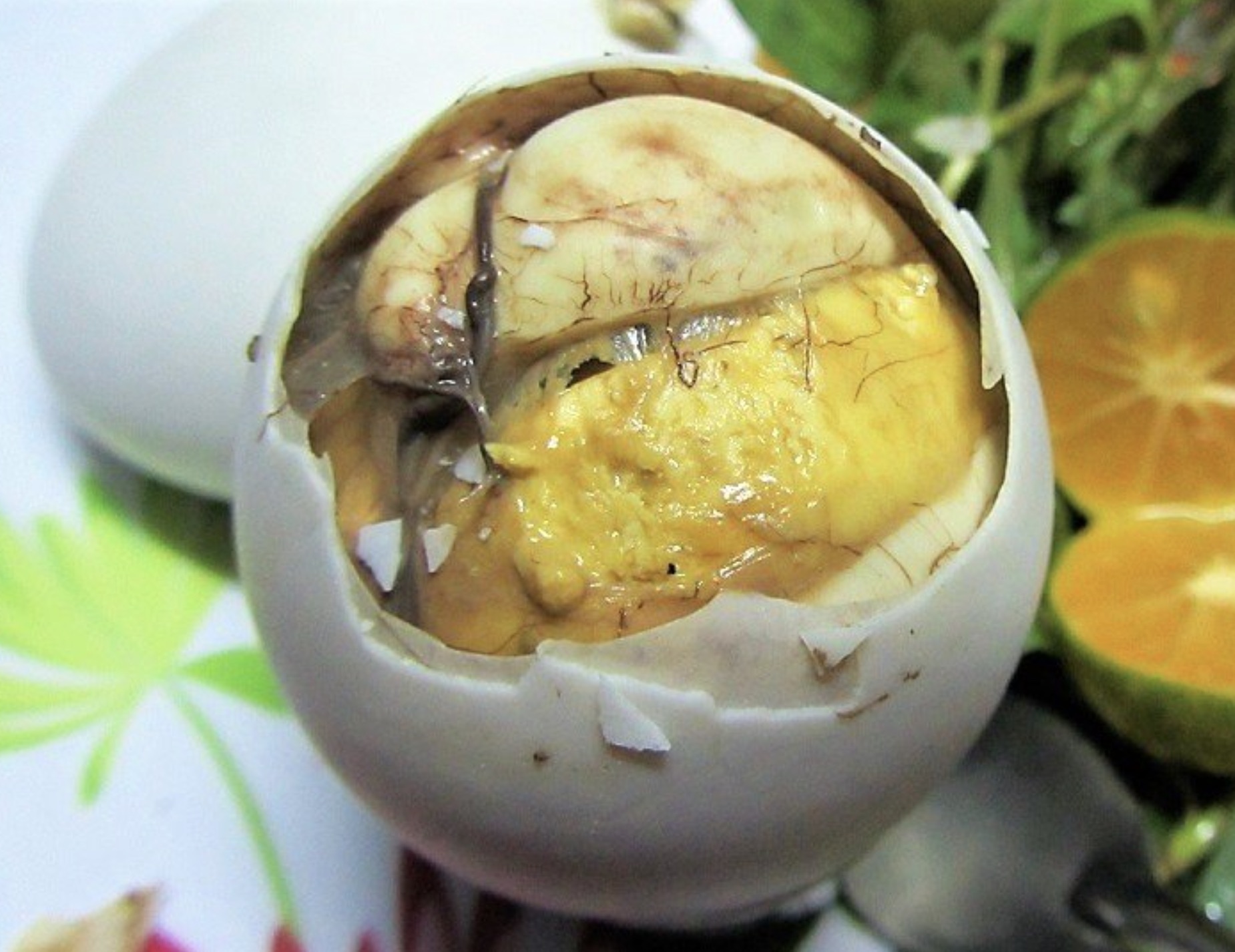 vietnam egg with chick -